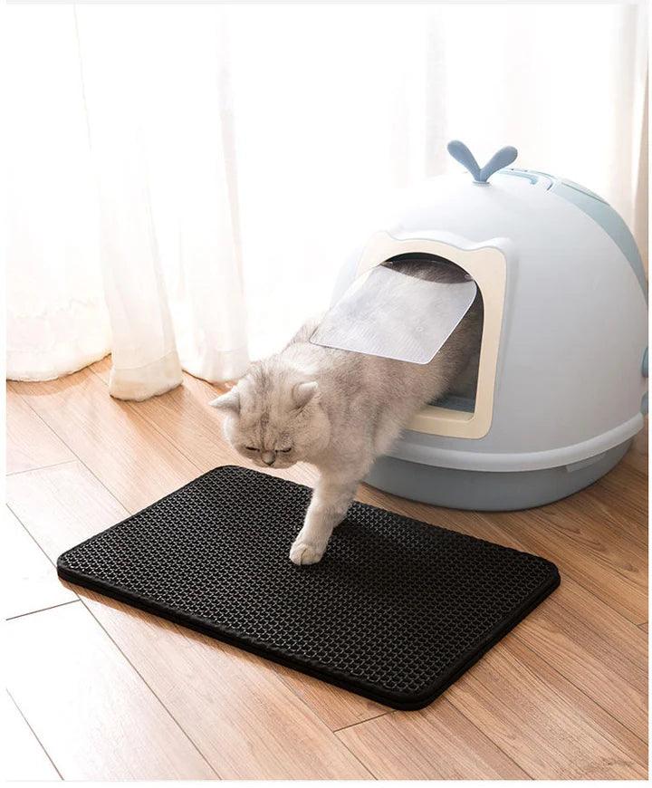 Cat Litter Mat With Double Layer