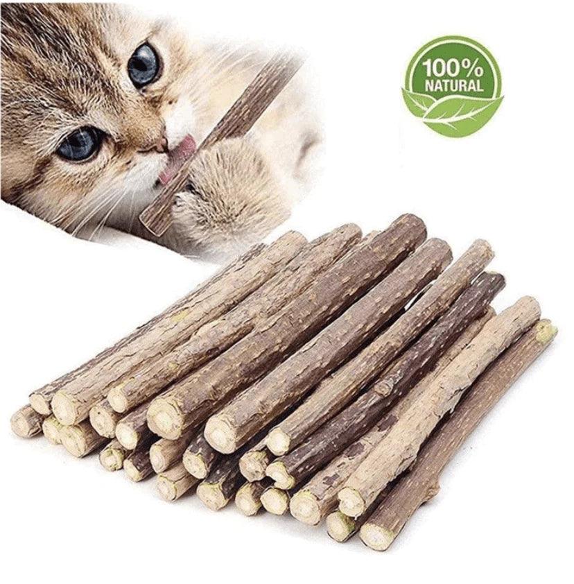 Catnip Stick Best for Cat's Dental Health Pack of 4