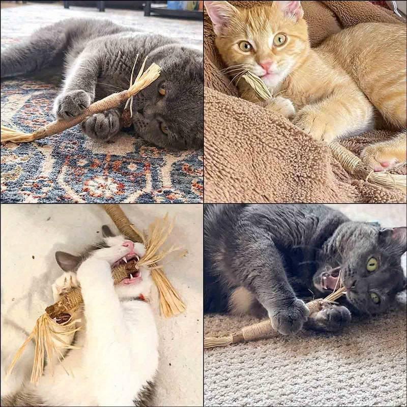 All Natural Catnip Teething Toy For Cats (3 In 1)