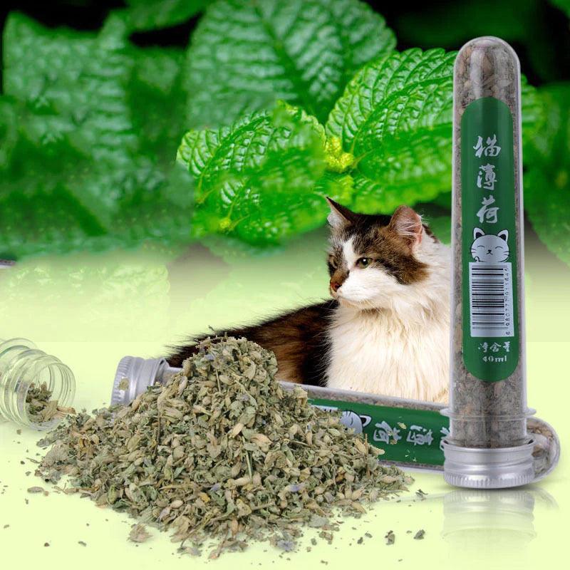 Catnip Leaves for Cats