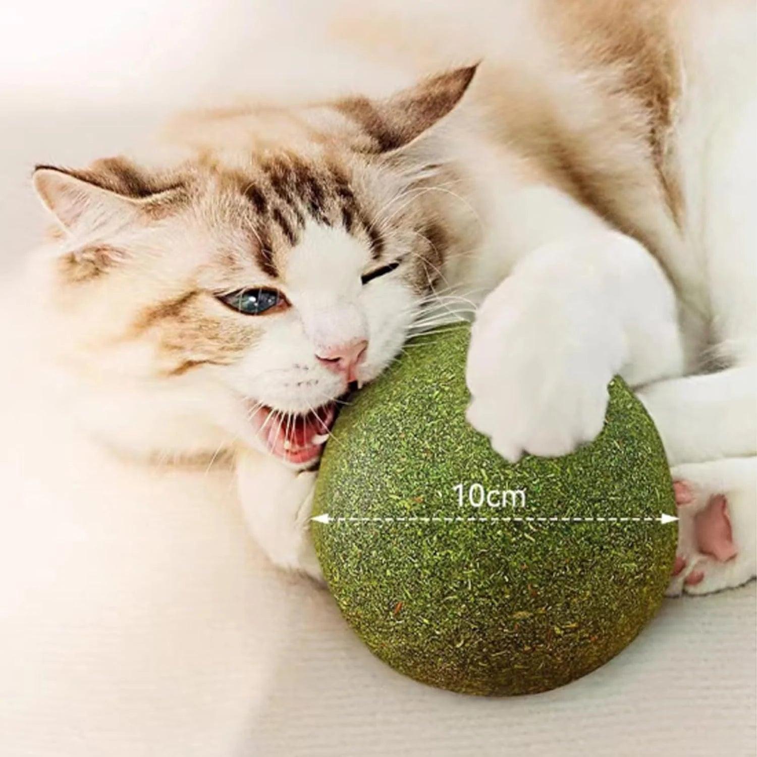 Jumbo Natural Catnip Ball