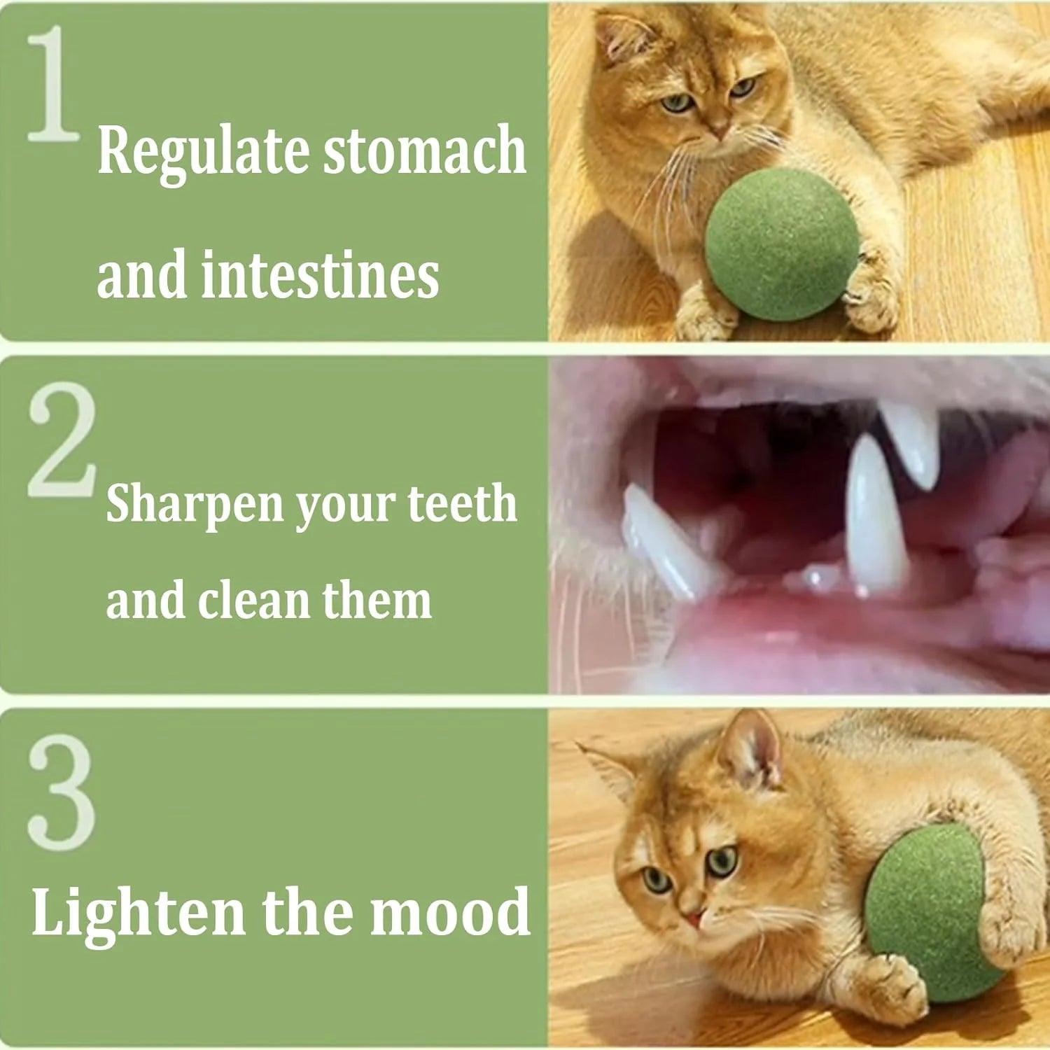 Jumbo Natural Catnip Ball