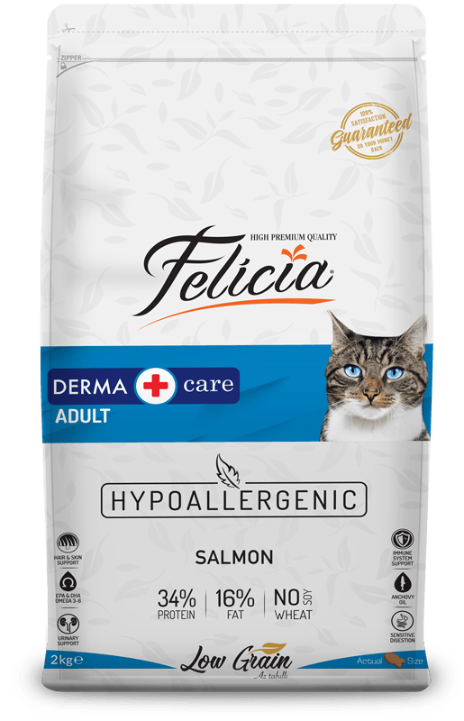 Felicia Derma Care Low Grain Adult Cat Food with Salmon