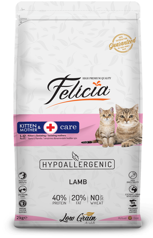 Felicia Kitten & Mother Care Lamb Cat Food